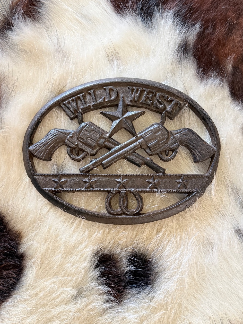 Cast Iron Wild West Metal Wall Plaque or Trivet